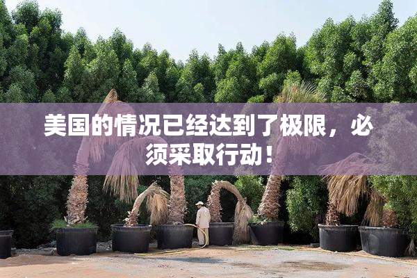 美国的情况已经达到了极限，必须采取行动！