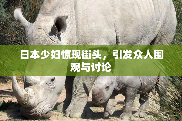 日本少妇惊现街头，引发众人围观与讨论