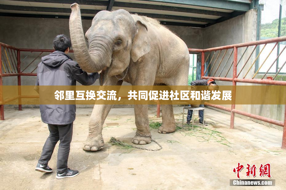 邻里互换交流，共同促进社区和谐发展