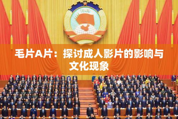 毛片A片：探讨成人影片的影响与文化现象