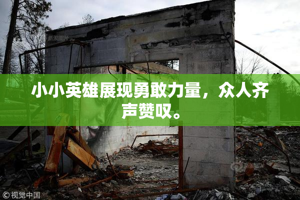 小小英雄展现勇敢力量，众人齐声赞叹。