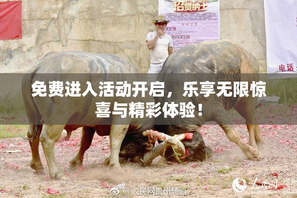 免费进入活动开启，乐享无限惊喜与精彩体验！