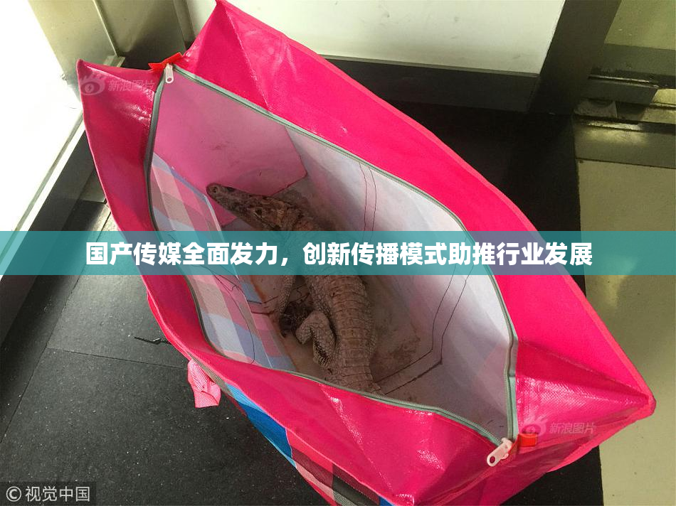 国产传媒全面发力，创新传播模式助推行业发展