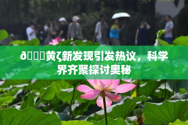 🔞黄ζ新发现引发热议，科学界齐聚探讨奥秘