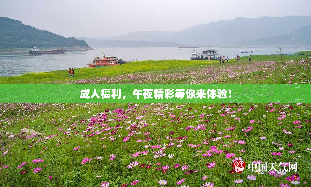 成人福利，午夜精彩等你来体验！