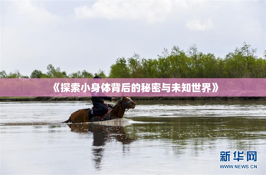 《探索小身体背后的秘密与未知世界》