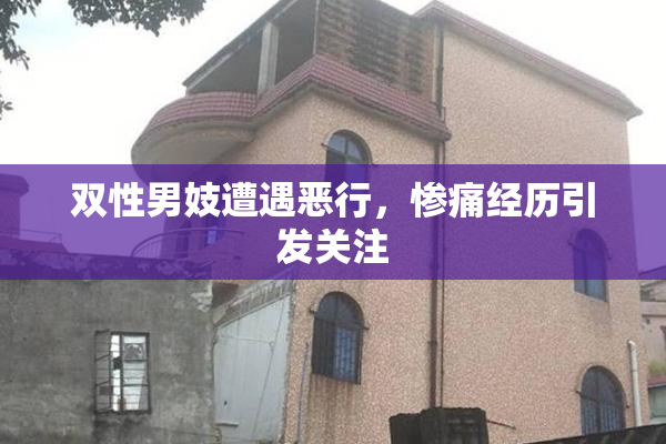 双性男妓遭遇恶行，惨痛经历引发关注