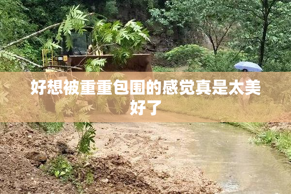 好想被重重包围的感觉真是太美好了
