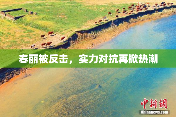 春丽被反击，实力对抗再掀热潮