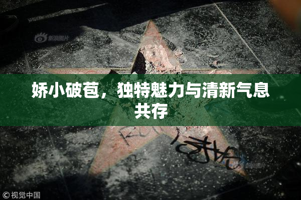 娇小破苞，独特魅力与清新气息共存