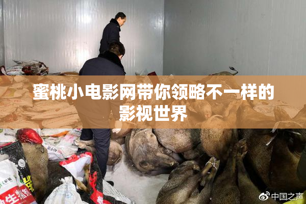 蜜桃小电影网带你领略不一样的影视世界