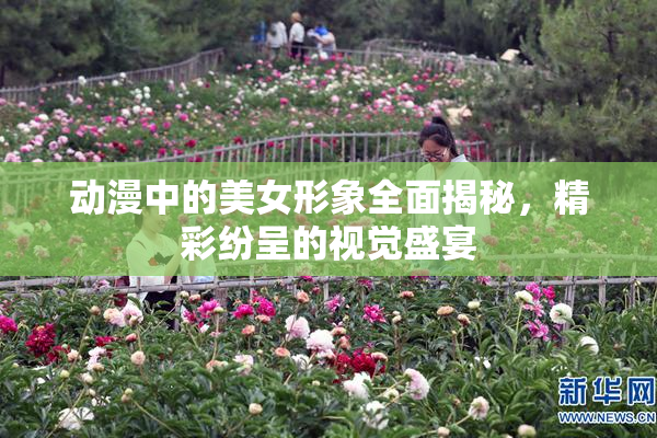 动漫中的美女形象全面揭秘，精彩纷呈的视觉盛宴