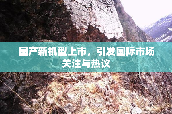 国产新机型上市，引发国际市场关注与热议