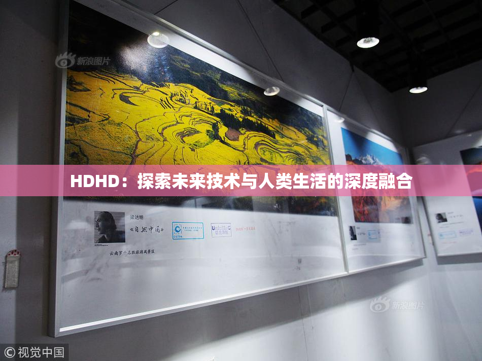 HDHD：探索未来技术与人类生活的深度融合