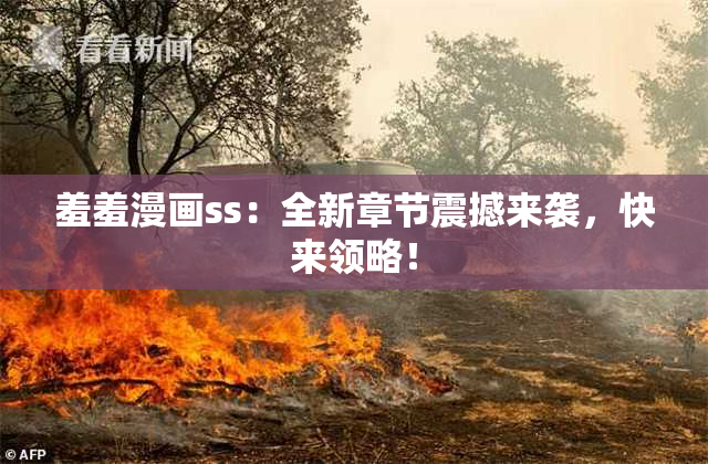 羞羞漫画ss：全新章节震撼来袭，快来领略！