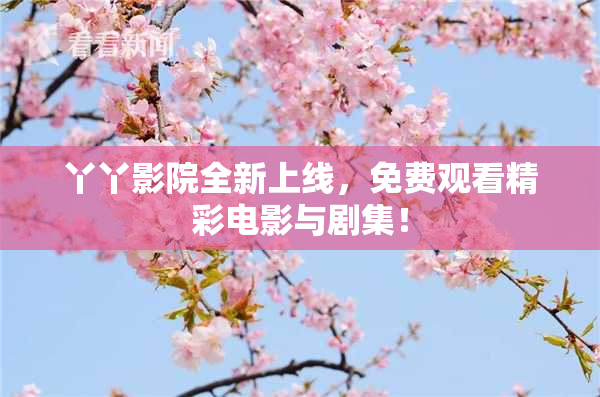 丫丫影院全新上线，免费观看精彩电影与剧集！