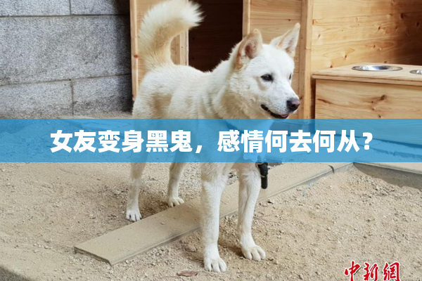 女友变身黑鬼，感情何去何从？