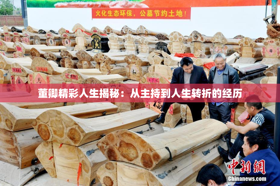 董卿精彩人生揭秘：从主持到人生转折的经历