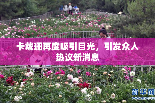 卡戴珊再度吸引目光，引发众人热议新消息