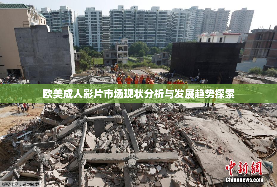 欧美成人影片市场现状分析与发展趋势探索