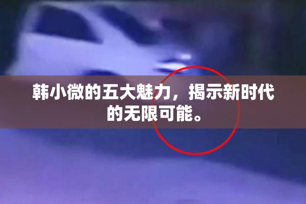 韩小微的五大魅力，揭示新时代的无限可能。
