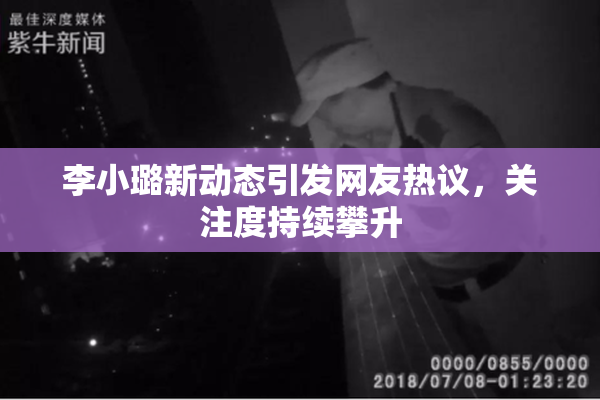 李小璐新动态引发网友热议，关注度持续攀升