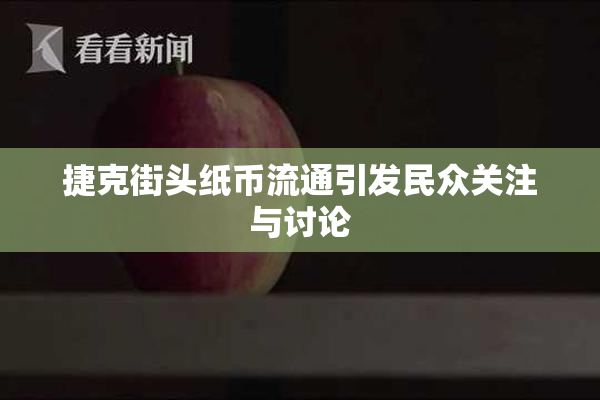 捷克街头纸币流通引发民众关注与讨论