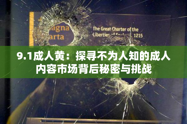 9.1成人黄：探寻不为人知的成人内容市场背后秘密与挑战
