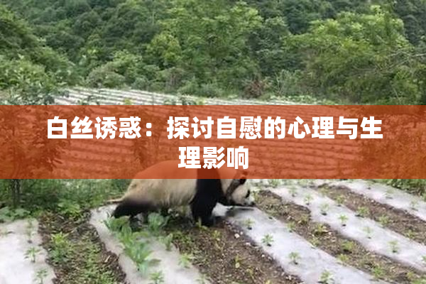 白丝诱惑：探讨自慰的心理与生理影响