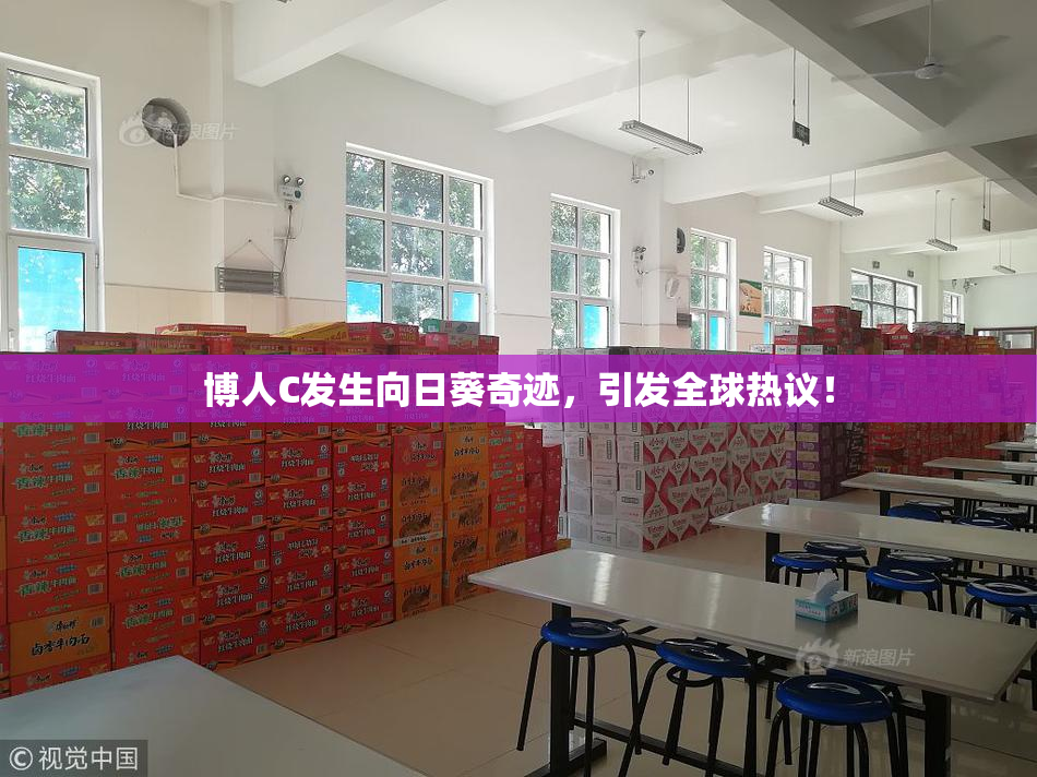 博人C发生向日葵奇迹，引发全球热议！