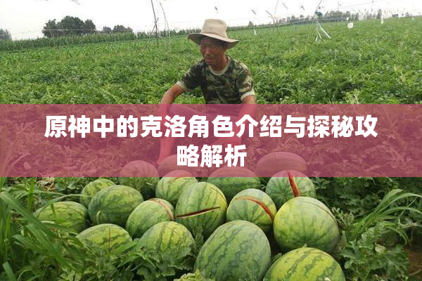 原神中的克洛角色介绍与探秘攻略解析