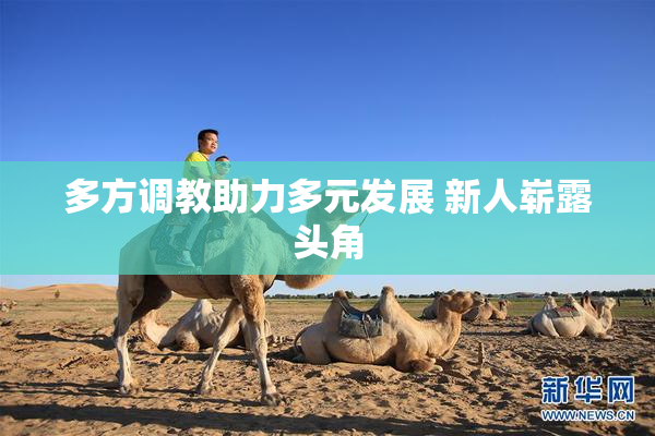 多方调教助力多元发展 新人崭露头角