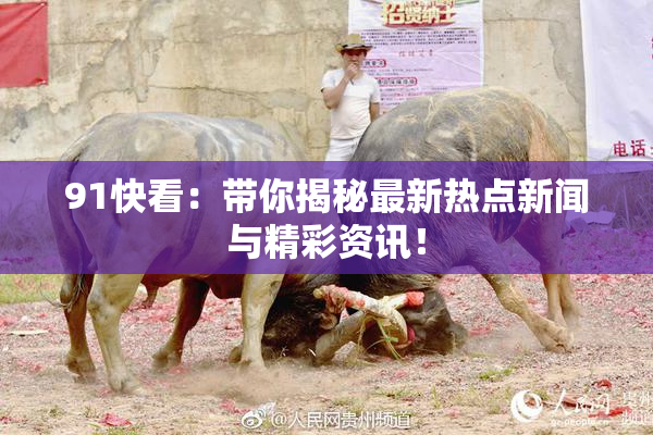 91快看：带你揭秘最新热点新闻与精彩资讯！