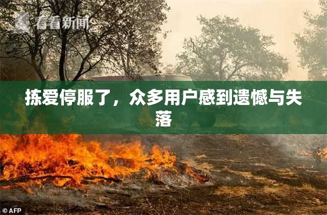 拣爱停服了，众多用户感到遗憾与失落