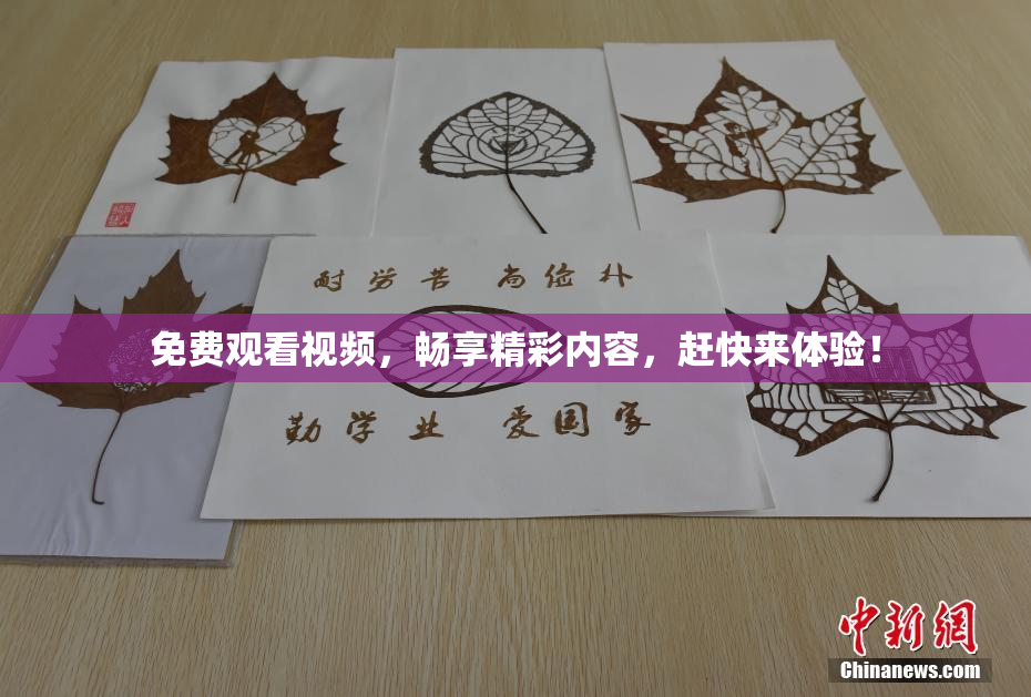 免费观看视频，畅享精彩内容，赶快来体验！