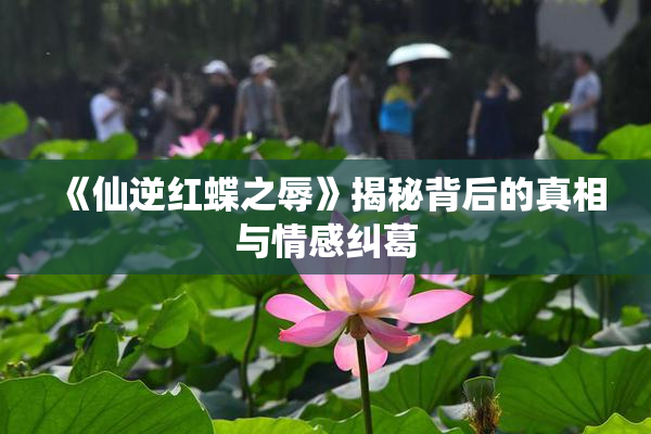《仙逆红蝶之辱》揭秘背后的真相与情感纠葛