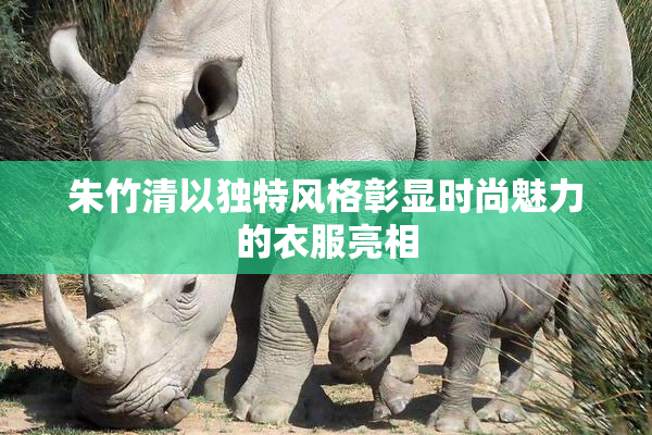 朱竹清以独特风格彰显时尚魅力的衣服亮相