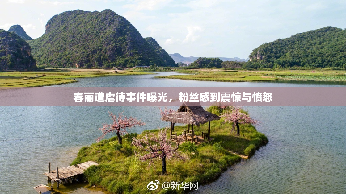 春丽遭虐待事件曝光，粉丝感到震惊与愤怒