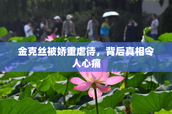金克丝被娇重虐待，背后真相令人心痛