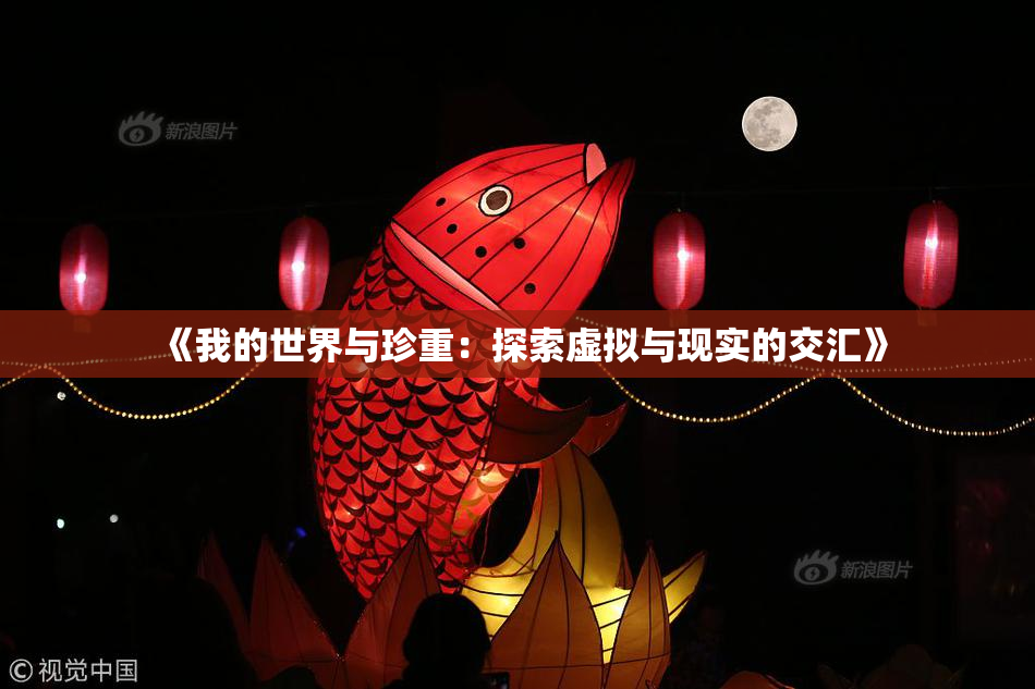《我的世界与珍重：探索虚拟与现实的交汇》