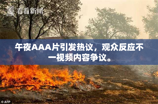 午夜AAA片引发热议，观众反应不一视频内容争议。