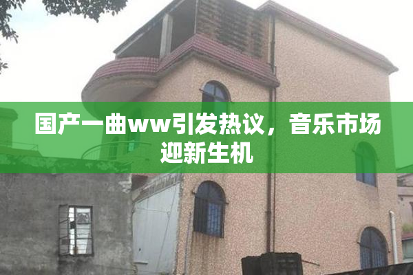 国产一曲ww引发热议，音乐市场迎新生机