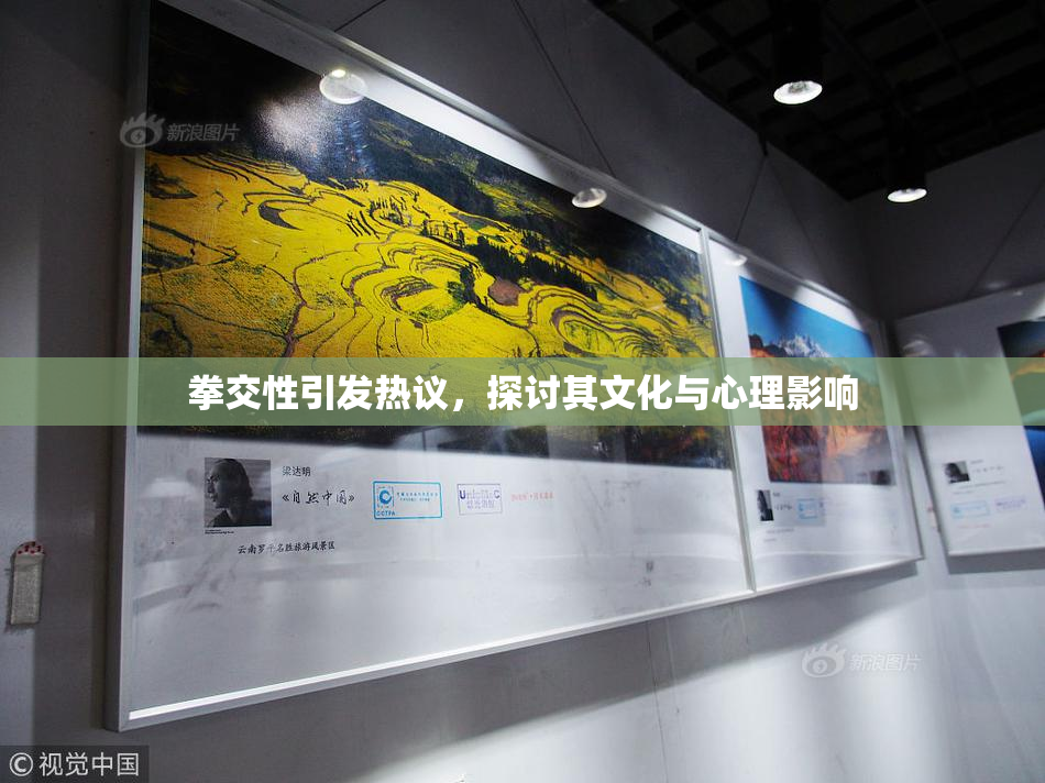 拳交性引发热议，探讨其文化与心理影响