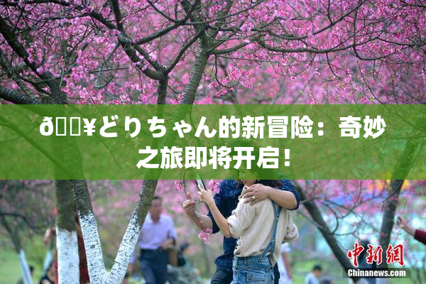 🔥どりちゃん的新冒险：奇妙之旅即将开启！