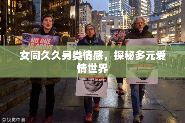 女同久久另类情感，探秘多元爱情世界