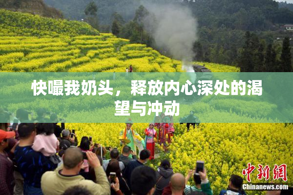 快嘬我奶头，释放内心深处的渴望与冲动