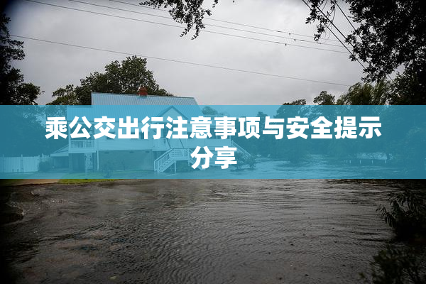 乘公交出行注意事项与安全提示分享