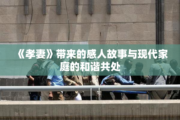 《孝妻》带来的感人故事与现代家庭的和谐共处