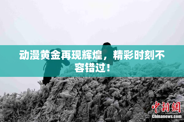 动漫黄金再现辉煌，精彩时刻不容错过！