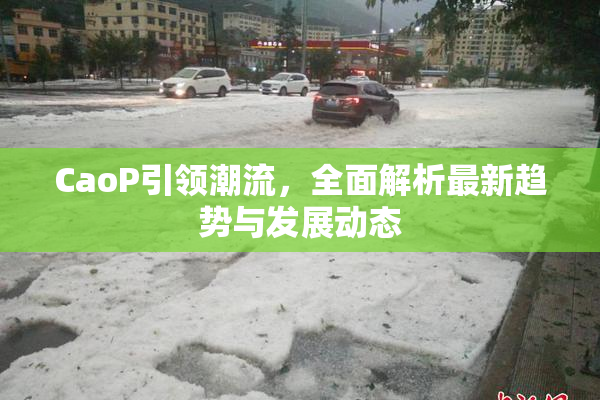 CaoP引领潮流，全面解析最新趋势与发展动态